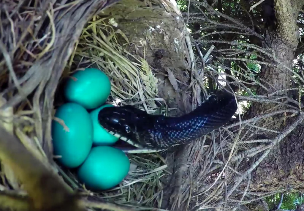 Screen Shot 2016-05-16 at 7.28.16 PM