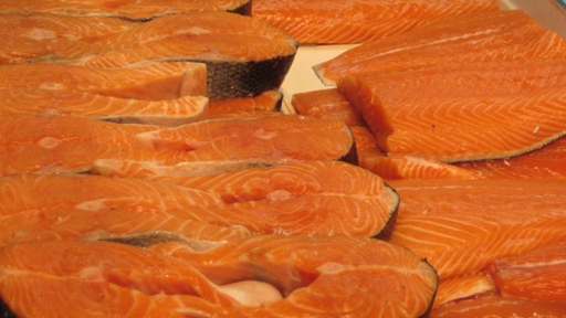 salmon