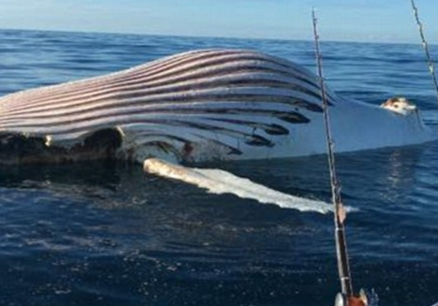 screen-shot-2016-09-26-at-4-37-15-pm