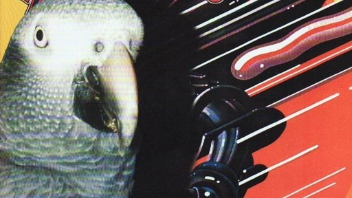 A Parrot is the Vocalist for a Death Metal Band