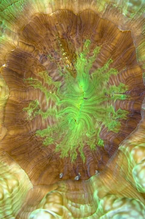 0f3d10c8e952f9062f43756d0e64d38d