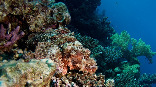 3028970957_7076c18df9