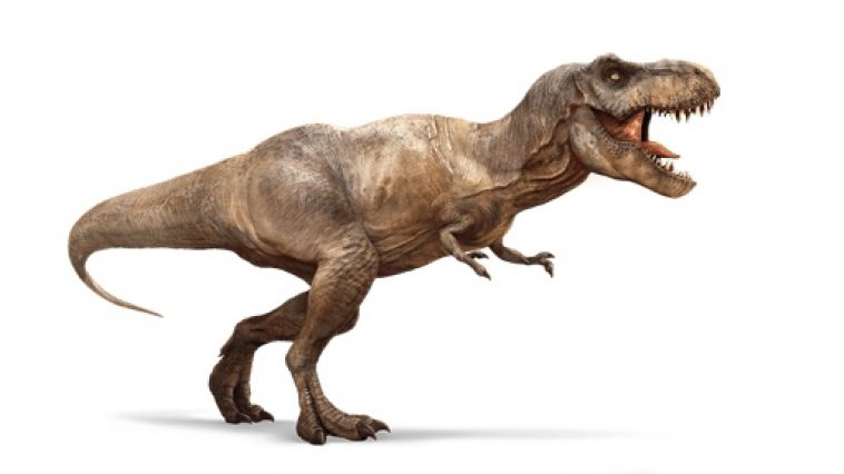 This Dinosaur Had Tiny Arms Like T. Rex