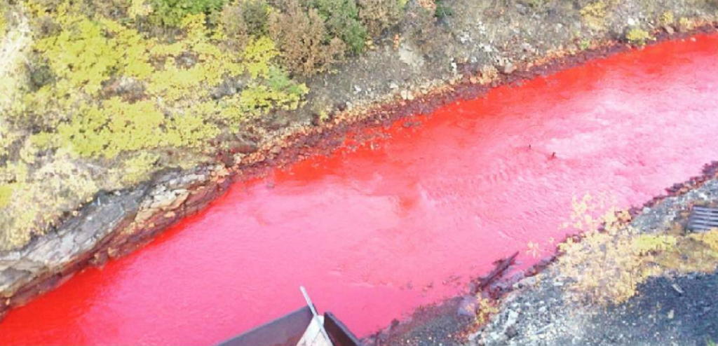 River Turns Blood Red in Russia