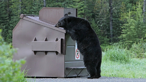 18306490244_e703dbd4c7_z