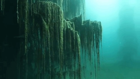 underwater discoveries