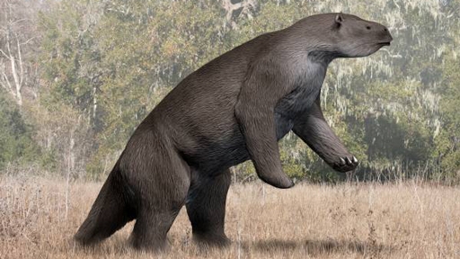 These Elephant-Sized Sloths Existed Before the Ice Age