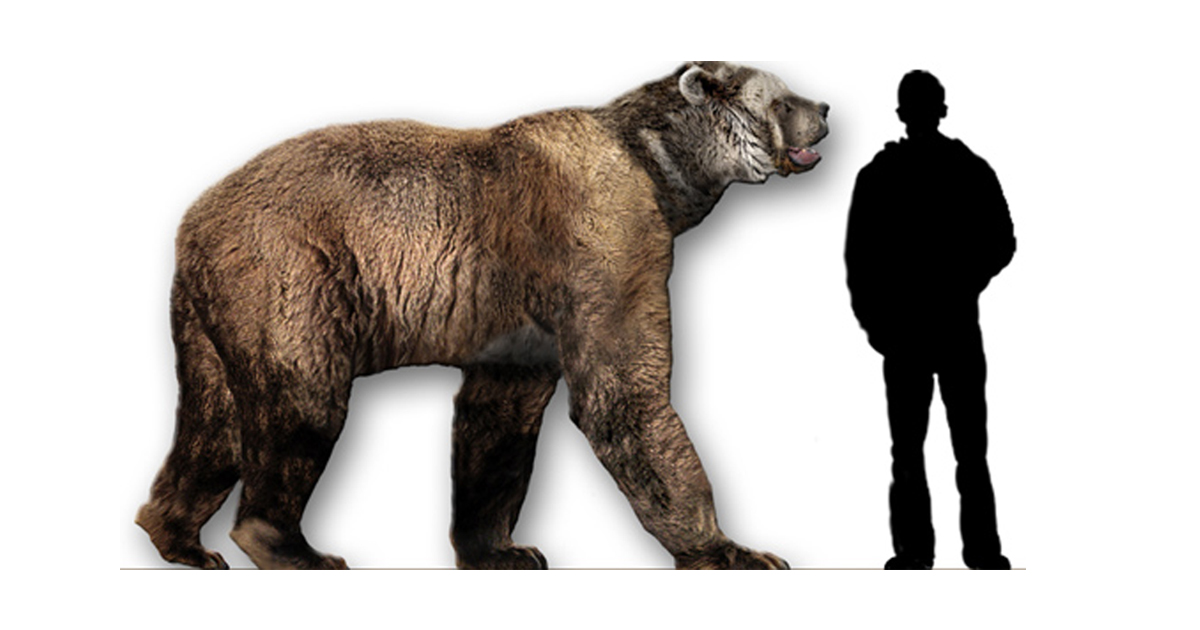 Ancient Bear Stood Up to 11 Feet Tall and Weighed 3,500 Pounds