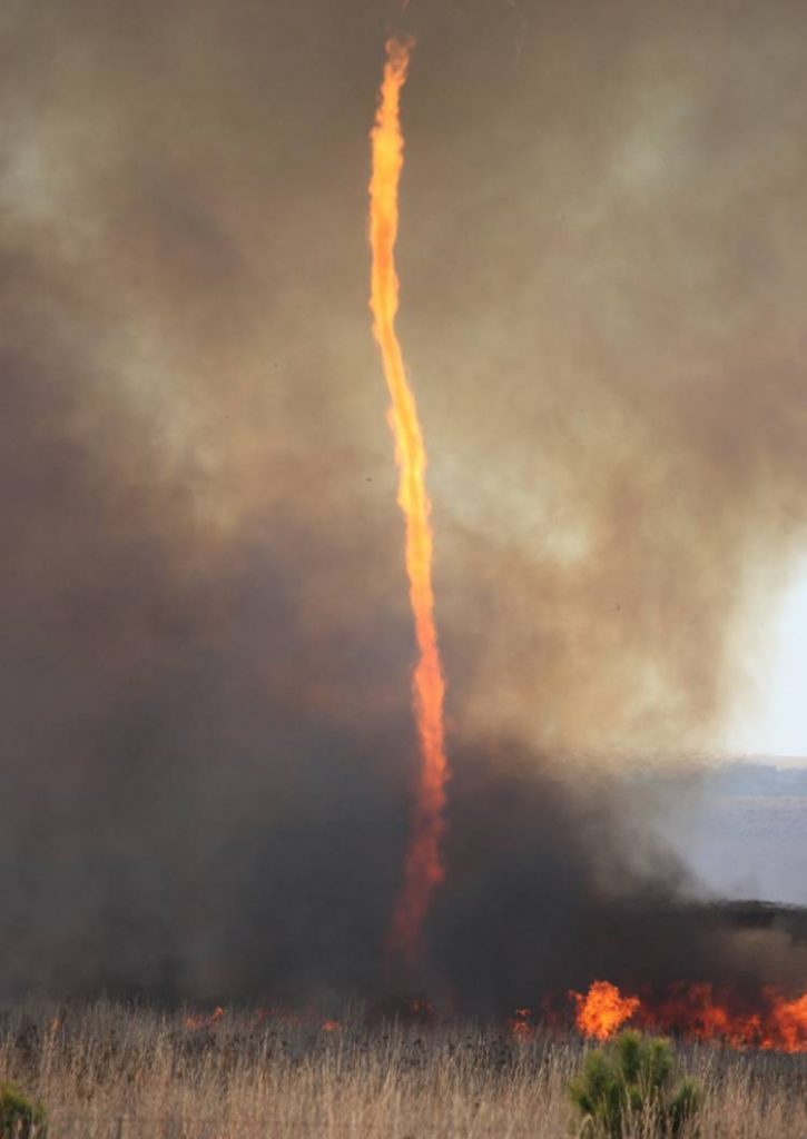 Firenado When Wildfires and Tornadoes Collide